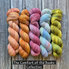 Load image into Gallery viewer, Austen (The Comfort of Old Books)