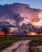 Load image into Gallery viewer, Storm Struck