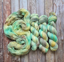 Load image into Gallery viewer, Feathertide (Fledgling 4ply Sock - SW Merino / Nylon)
