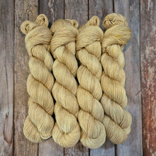 Load image into Gallery viewer, Frosted (Mersilk 4ply Fingering - SW Merino / Mulberry Silk)
