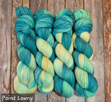 Load image into Gallery viewer, Point Lowry (Fledgling 4ply Sock - SW Merino / Nylon) (r&amp;bj)

