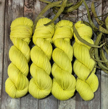 Load image into Gallery viewer, Sea Comet (May Gibbs Collection)
