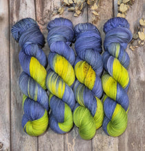 Load image into Gallery viewer, Wetland Weather (Assigned Pooling) (Dyed as Ordered if Not in Stock)
