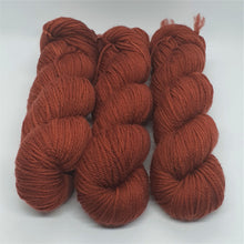 Load image into Gallery viewer, Cajun Spice (Baa-Ram-Ewe DK - SW Merino)
